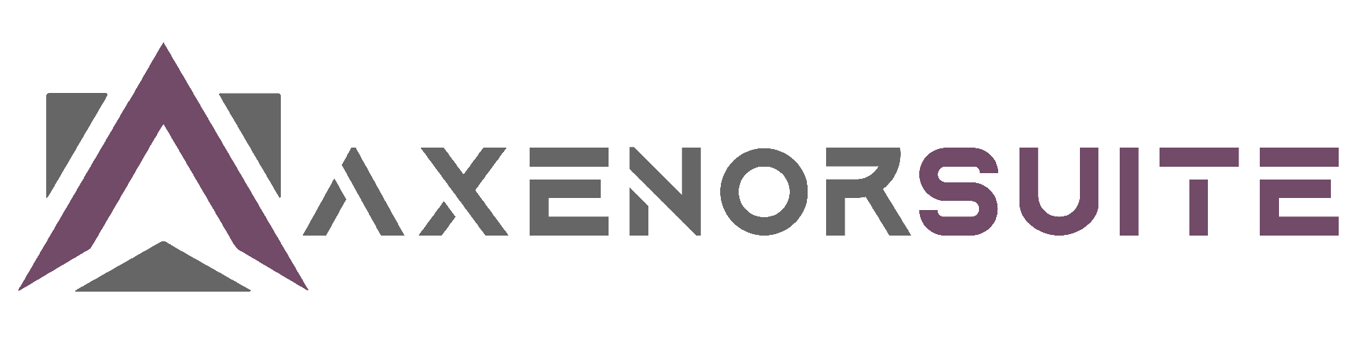 AxenorSuite Consultancy Services LLP